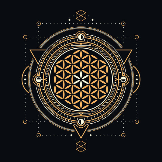 Rise & Shine (Bali-Belly)