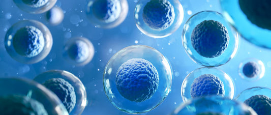 The Power of Stem Cells: Unlocking the Body's Healing Potential